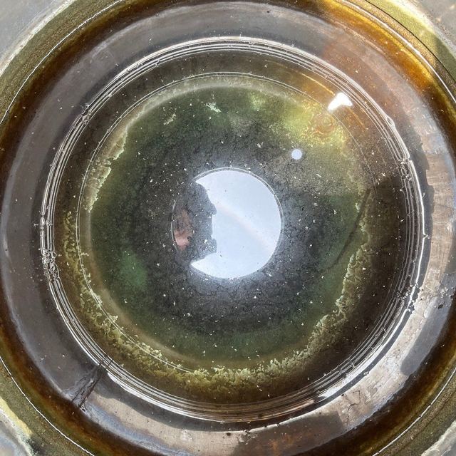 整桶變綠的水塔