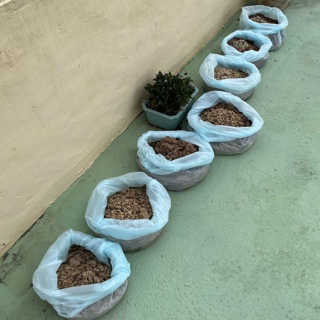 洗完水塔還是覺得水怪怪的？問題可能不在水塔